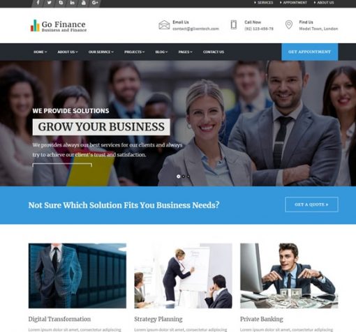 Finance Business Web Design Services