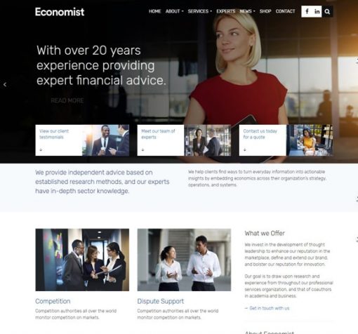 Economist Web Design Services