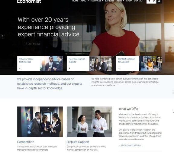 Economist Web Design Services