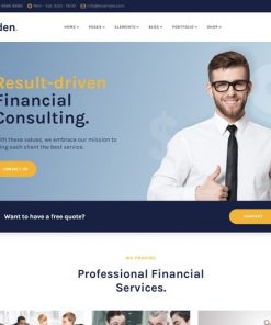 Finance Business Web Design Services