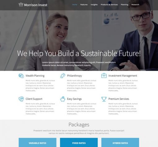 Account Web Design Services