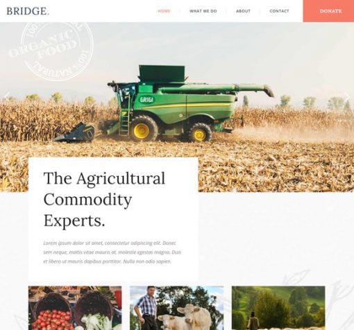 Web Design Service for Agriculture