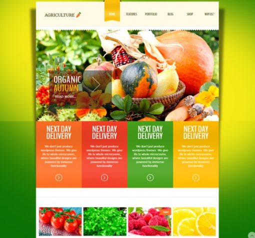 Web Design Service for Agriculture