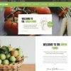 Agriculture Web Design Service