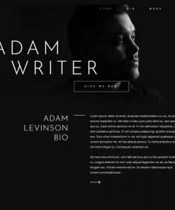 web design service for writer