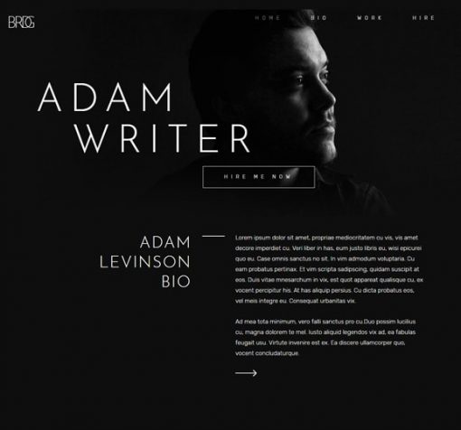 web design service for writer