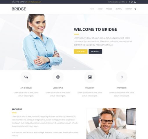 business web design service