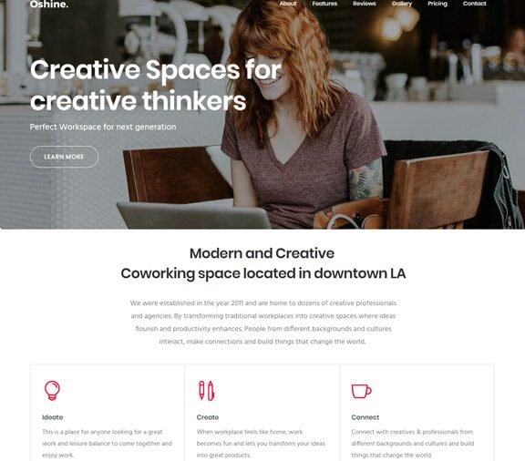 business web design service