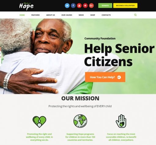 web design service for charity organization