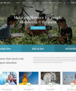 web design service for charity organization