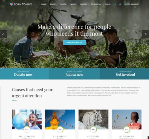 web design service for charity organization