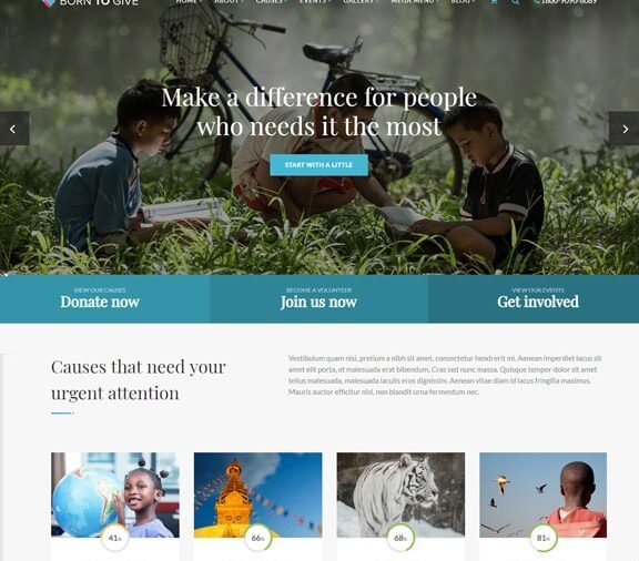web design service for charity organization