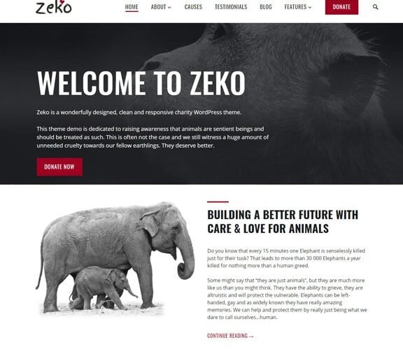 web design service for charity organization