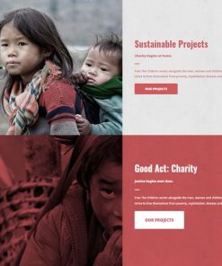 web design service for charity organization