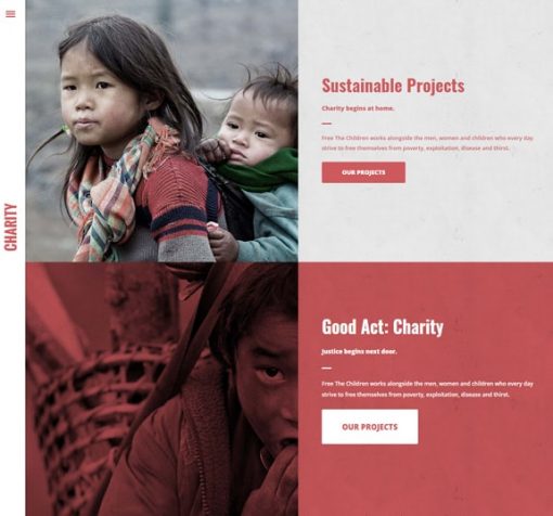 web design service for charity organization