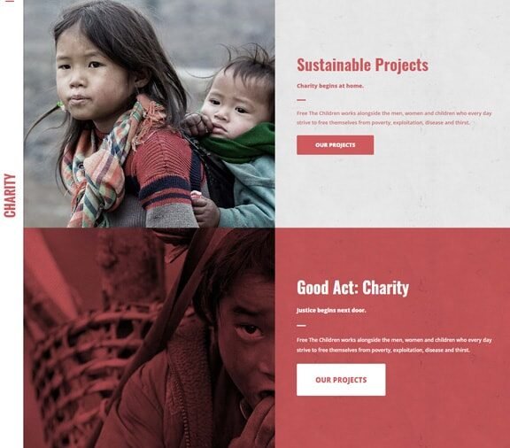 web design service for charity organization