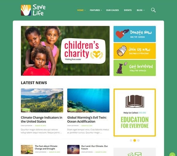 web design service for charity organization