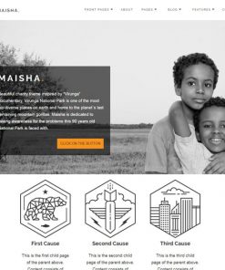 web design service for charity organization