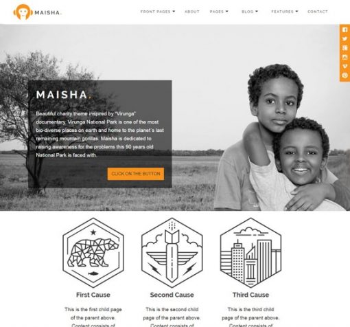 web design service for charity organization