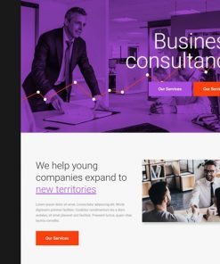 consulting web design service