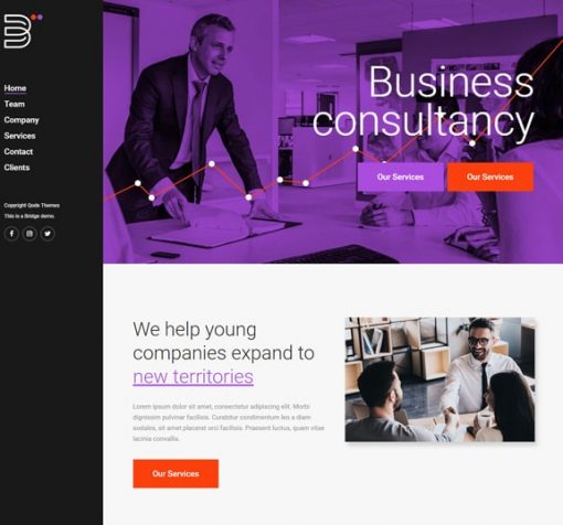 consulting web design service