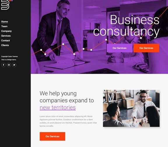 consulting web design service