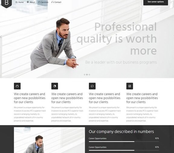 consulting web design service
