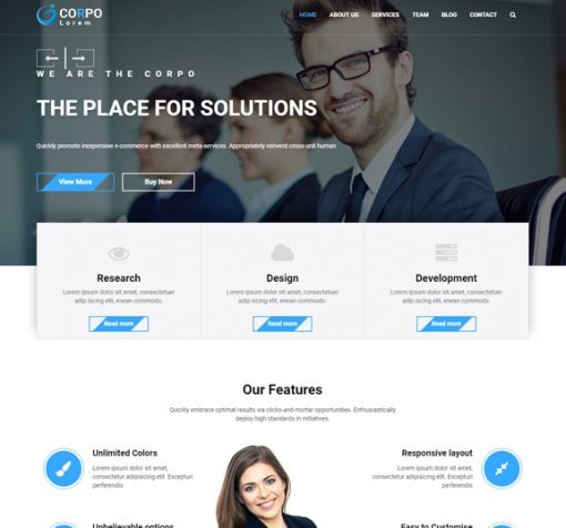 corporate business web design service