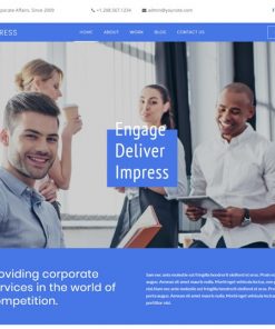 corporate business web design service