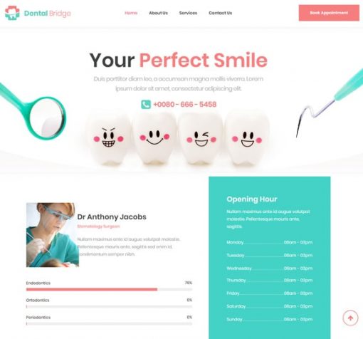 dental website design service