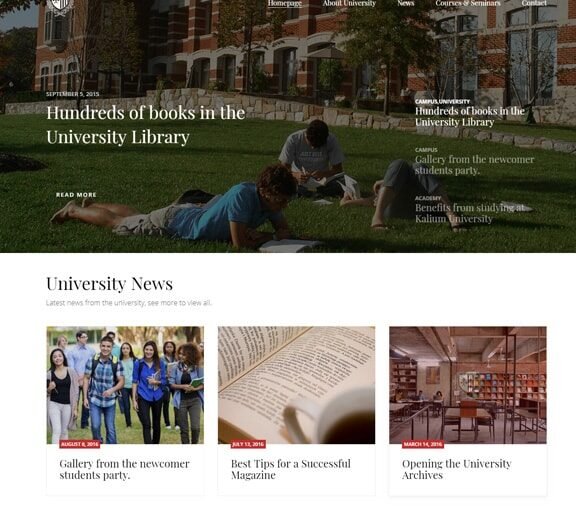 university web design service