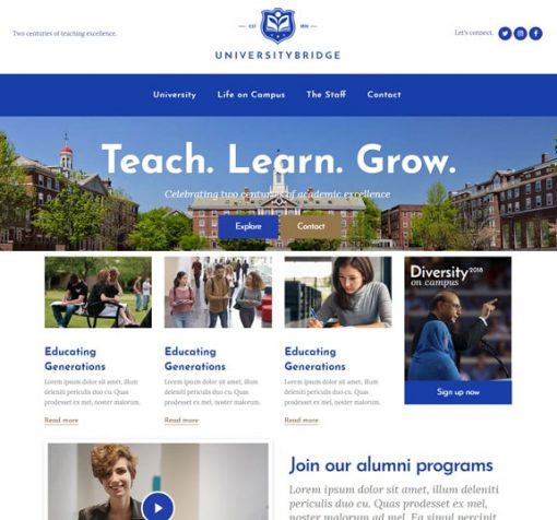 university web design service