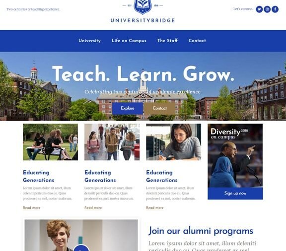 university web design service