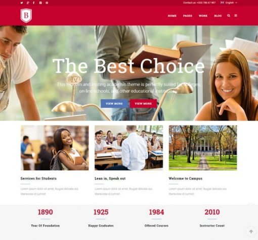 education web design service