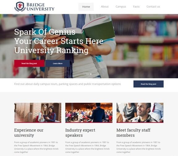 university web design service