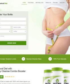 diet website design service