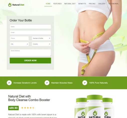 diet website design service