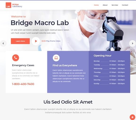 laboratory website design service
