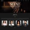 model agency web design service