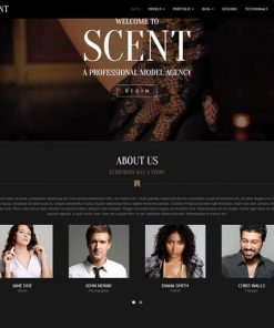 model agency web design service