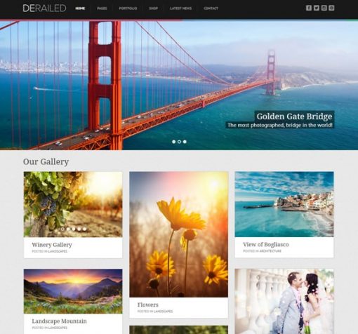 photographer web design service