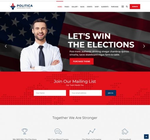 political party web design service