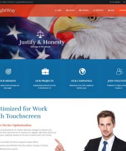 political web design service