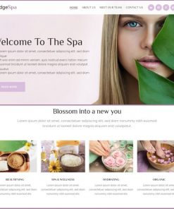 spa salon website design service