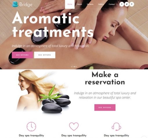 spa salon website design service