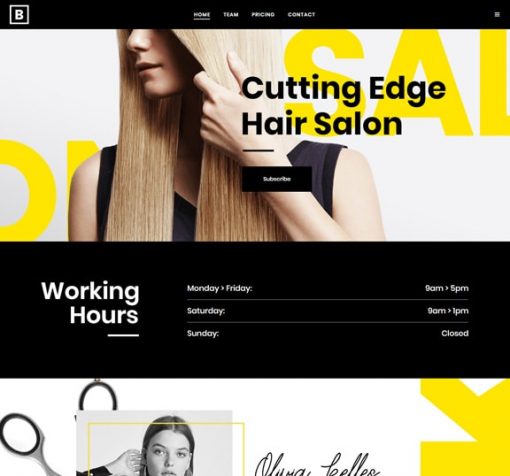 web design service for beauty salon