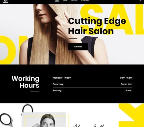 web design service for beauty salon