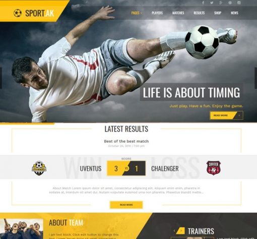 Football Web Design Services