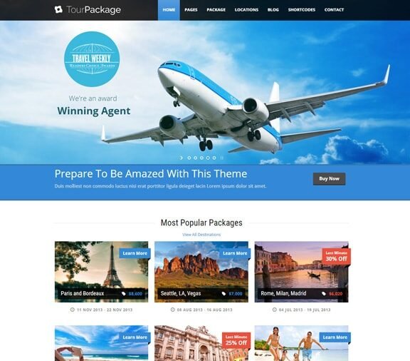 Travel Agency Web Design Services