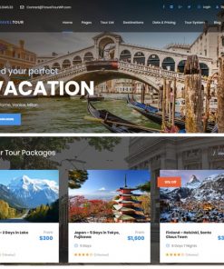 Web Design Services for Travel Agency